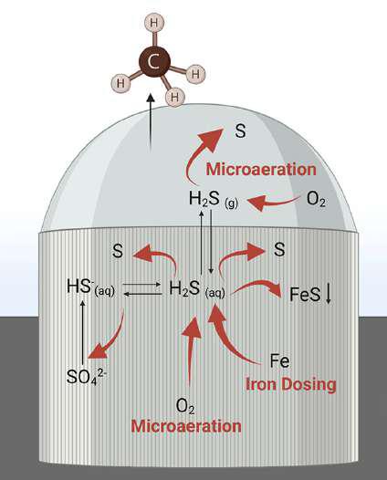 Microaeration and iron dosing in a digester, diagram